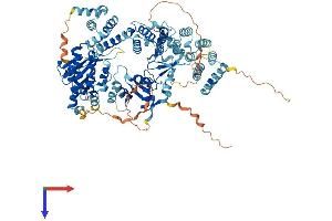 EXD3 Protein (AA 1-876) (His tag)