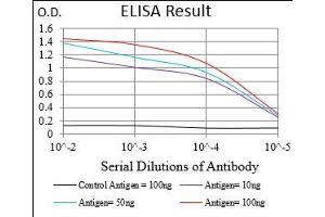 Black line: Control Antigen (100 ng), Purple line: Antigen(10 ng), Blue line: Antigen (50 ng), Red line: Antigen (100 ng), (PLA2G12A Antikörper  (AA 21-189))
