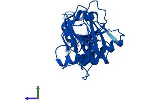Protein Structure (PS) image for Thiamin Pyrophosphokinase 1 (TPK1) (AA 1-243) protein (His tag) (ABIN7556188)