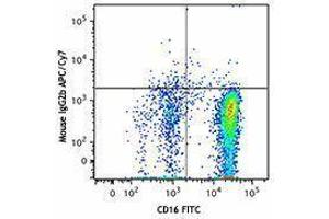 Flow Cytometry (FACS) image for anti-Chemokine (C-C Motif) Receptor 3 (CCR3) antibody (APC-Cy7) (ABIN2660558) (CCR3 Antikörper  (APC-Cy7))