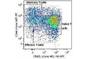 Flow Cytometry (FACS) image for Mouse Naive/Memory T cell ID Panel (ABIN2669200) (Maus Naive/Memory T cell ID Panel)