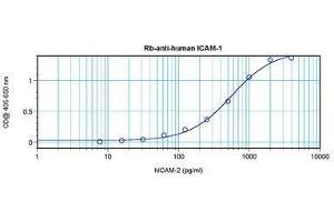 Image no. 3 for anti-Intercellular Adhesion Molecule 1 (ICAM1) antibody (ABIN465660) (ICAM1 Antikörper)