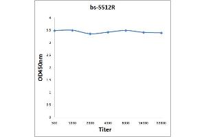 ELISA image for anti-Nuclear Factor of kappa Light Polypeptide Gene Enhancer in B-Cells 1 (NFKB1) (pSer337) antibody (ABIN710651)