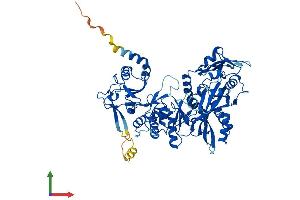 AlphaFold protein structure predicition of Mouse Recombinant Ttll12 Protein, UniprotID Q3UDE2