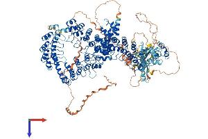 TNKS Protein (AA 1-1320) (His tag)