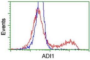 Flow Cytometry (FACS) image for anti-Acireductone Dioxygenase 1 (ADI1) antibody (ABIN1496484) (ADI1 Antikörper)