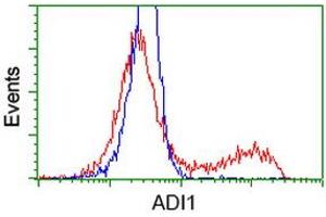 Flow Cytometry (FACS) image for anti-Acireductone Dioxygenase 1 (ADI1) antibody (ABIN1496484)