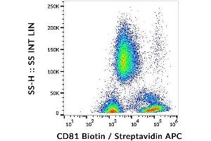 Surface staining of CD81 in human peripheral blood with anti-CD81 (M38) biotin, streptavidin-APC. (CD81 Antikörper  (Biotin))