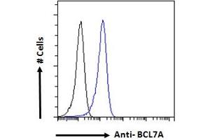 Flow Cytometry (FACS) image for anti-B-Cell CLL/lymphoma 7A (BCL7A) (C-Term) antibody (ABIN184562)