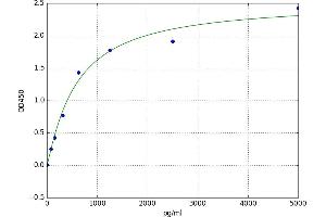 Cadherin 11 (CDH11) ELISA Kit