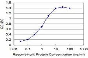 Detection limit for recombinant GST tagged TLX3 is approximately 0. (TLX3 Antikörper  (AA 192-291))