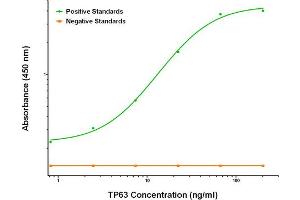ELISA image for anti-Tumor Protein P63 (TP63) antibody (ABIN2672150)