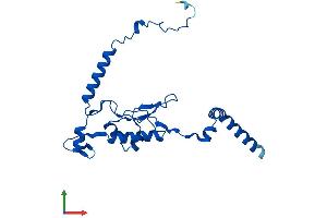 Protein Structure (PS) image for Ribosomal Protein L13 (RPL13) (AA 1-211) protein (His tag) (ABIN7551390)