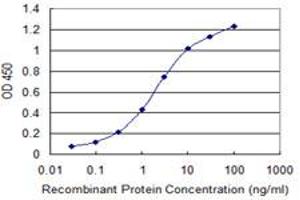 Detection limit for recombinant GST tagged TIAM2 is 0. (TIAM2 Antikörper  (AA 527-624))