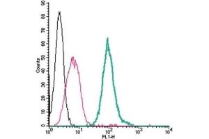 Flow Cytometry (FACS) image for anti-Purinergic Receptor P2Y, G-Protein Coupled, 14 (P2RY14) (AA 172-188), (Extracellular) antibody (FITC) (ABIN7043587)