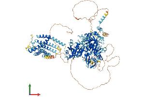 Protein Structure (PS) image for Potassium Channel, Subfamily T, Member 1 (KCNT1) (AA 1-1230) protein (His tag) (ABIN7554241)