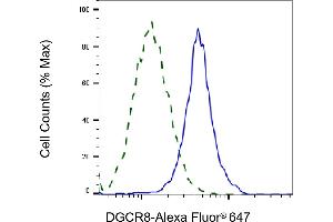 Validation of DGCR8 knockdown using flow cytometry. (Rekombinanter DGCR8 Antikörper)