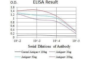 Black line: Control Antigen (100 ng), Purple line: Antigen(10 ng), Blue line: Antigen (50 ng), Red line: Antigen (100 ng), (Integrin Alpha2b Antikörper  (AA 45-149))
