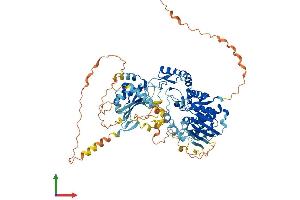 AlphaFold protein structure predicition of Human Recombinant ZMYND15 Protein, UniprotID Q9H091