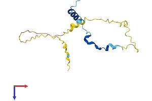 PNRC2 Protein (AA 1-140) (His tag)