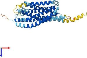 Protein Structure (PS) image for G Protein-Coupled Receptor 55 (GPR55) (AA 1-327) protein (His tag) (ABIN7557209)