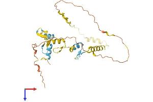 SNAIL Protein (SNAI1) (AA 1-264) (His tag)