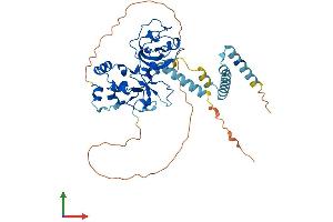 Protein Structure (PS) image for Ubiquitin Protein Ligase E3 Component N-Recognin 7 (UBR7) (AA 1-425) protein (His tag) (ABIN7545003)