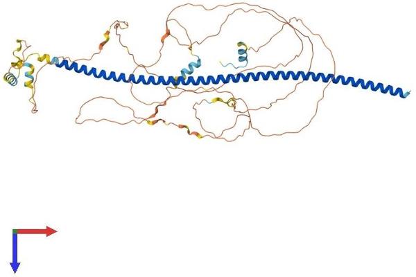 BEGAIN Protein (AA 1-600) (His tag)