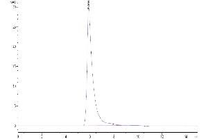 The purity of Human ITGA5&ITGB1 is greater than 95 % as determined by SEC-HPLC.