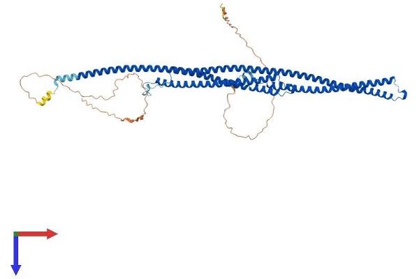 TEKT5 Protein (AA 1-557) (His tag)