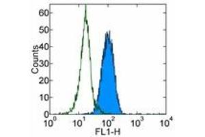 Image no. 1 for anti-Integrin alpha M (ITGAM) antibody (FITC) (ABIN476102) (CD11b Antikörper  (FITC))