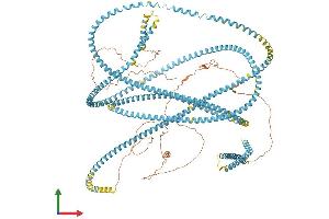 Protein Structure (PS) image for Sfi1 Homolog, Spindle Assembly Associated (SFI1) (AA 1-1242) protein (His tag) (ABIN7555423)