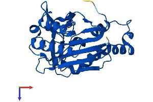 NIT2 Protein (AA 1-276) (His tag)
