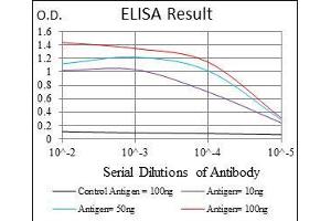 Black line: Control Antigen (100 ng), Purple line: Antigen(10 ng), Blue line: Antigen (50 ng), Red line: Antigen (100 ng), (UBE2I Antikörper)