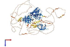 MAP3K14 Protein (AA 1-942) (His tag)