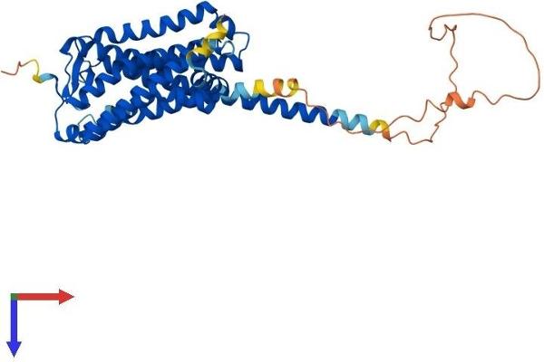 GPR84 Protein (AA 1-396) (His tag)