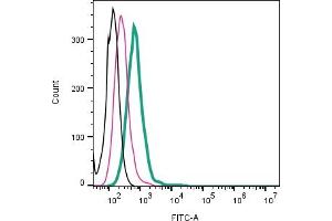 Cell surface detection of ADAM10 by direct flow cytometry in live intact mouse J774 macropahge cells: + Rabbit IgG Isotype Control-FITC (ABIN7582044).
