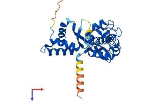 NSMCE1 Protein (AA 1-266) (His tag)