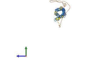 Protein Structure (PS) image for Synaptoporin (SYNPR) (AA 1-265) protein (His tag) (ABIN7544071)