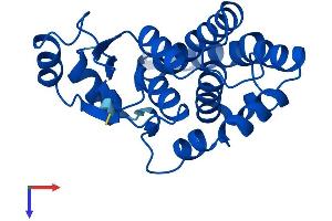 GSTA1 Protein (AA 1-222) (His tag)