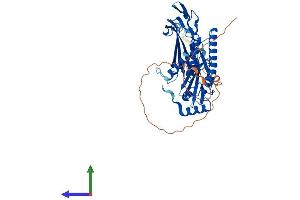 Protein Structure (PS) image for Exosome Component 9 (EXOSC9) (AA 1-438) protein (His tag) (ABIN7565077)
