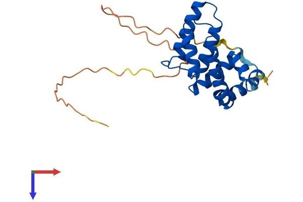 RGS17 Protein (AA 1-210) (His tag)