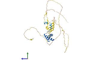 Protein Structure (PS) image for Visual System Homeobox 1 (VSX1) (AA 1-365) protein (His tag) (ABIN7545148)