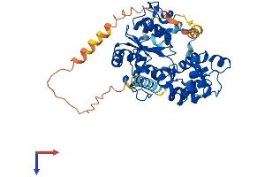CHST12 Protein (AA 1-419) (His tag)