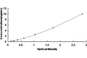 Typical standard curve (HSPB6 ELISA Kit)