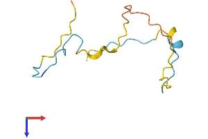 SMPX Protein (AA 1-85) (Fc Tag)