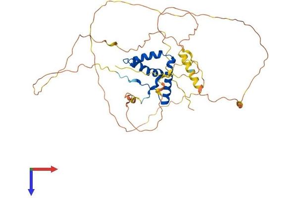 SOX17 Protein (AA 1-414) (His tag)