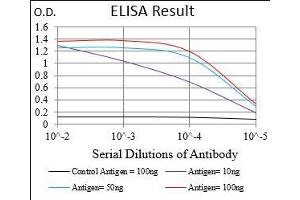 Black line: Control Antigen (100 ng), Purple line: Antigen(10 ng), Blue line: Antigen (50 ng), Red line: Antigen (100 ng), (MME Antikörper  (AA 52-246))