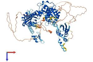 TUT1 Protein (AA 1-869) (His tag)