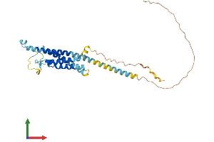 Protein Structure (PS) image for Membrane-Spanning 4-Domains, Subfamily A, Member 1 (MS4A1) (AA 1-291) protein (His tag) (ABIN7562940)